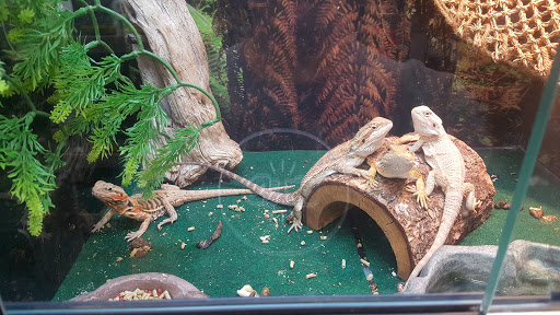 Pet Store «Market Street PET DEPOT», reviews and photos, 2979 S Market St, Gilbert, AZ 85295, USA