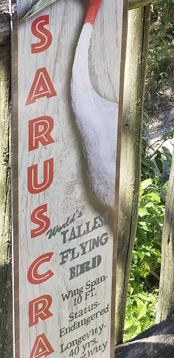 Zoo «Alligator Adventure», reviews and photos, 4604 Hwy 17 S, North Myrtle Beach, SC 29582, USA