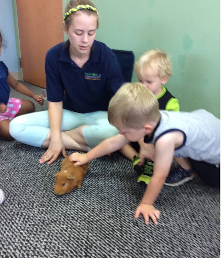 Preschool «Bullfrogs & Butterflies Christian Learning Center & Preschool», reviews and photos, 5902 S 12th St, Portage, MI 49024, USA