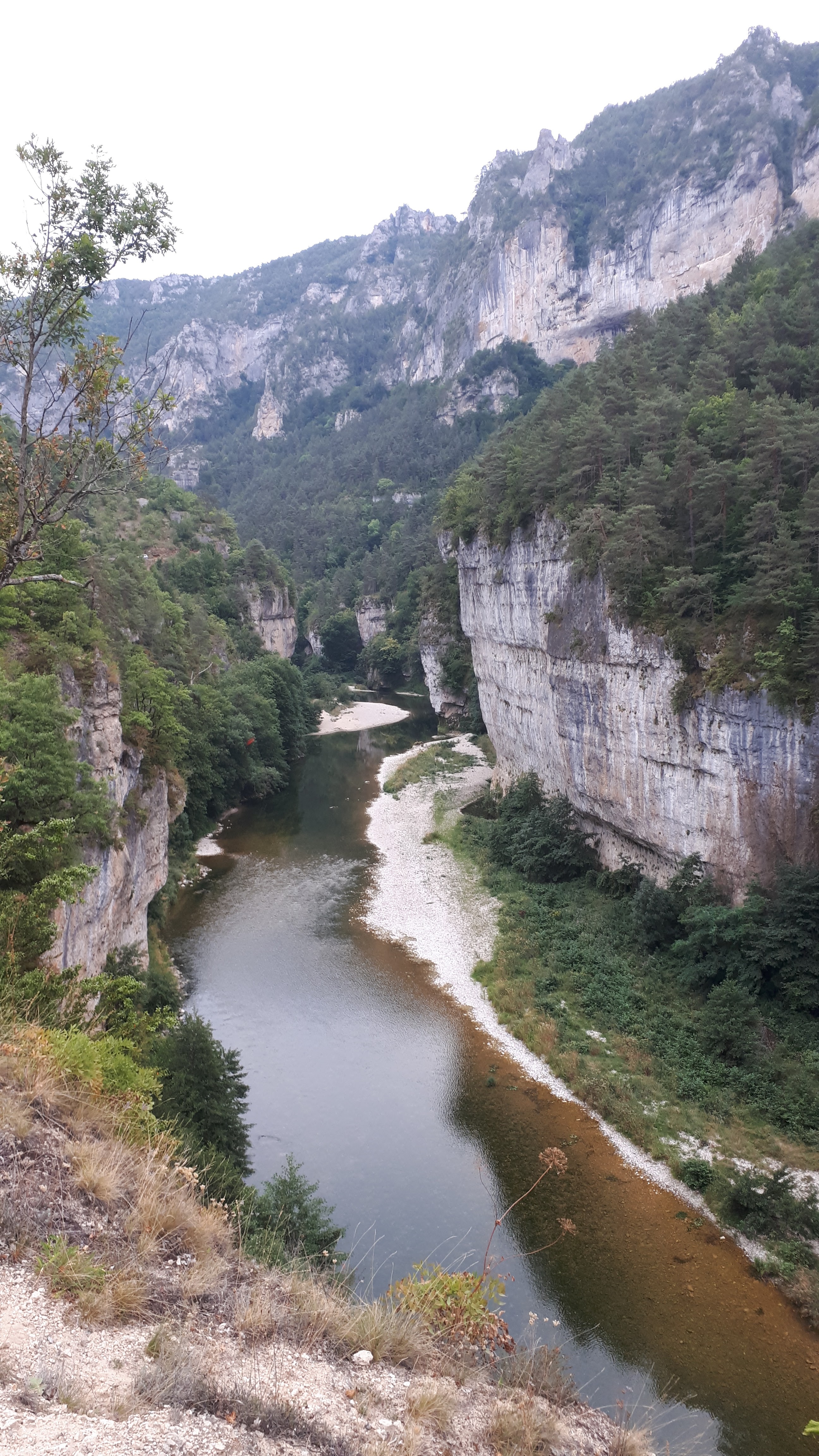 Photo n° 7 de l'avis de Ivon.a fait le 02/09/2019 à 07:18