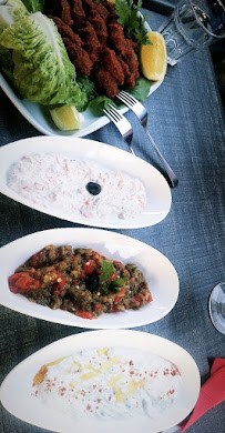Plats et boissons du Restaurant turc Restaurant doydoy (K63 - Kebab & Grillades à La Verpillière - n°12