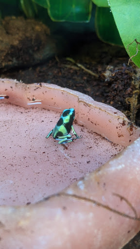 Pet Supply Store «Petco Animal Supplies», reviews and photos, 891 NE D St, Grants Pass, OR 97526, USA