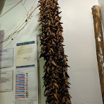 Photo n°4 de l'avis de Giuseppe.o fait le 17/05/2019 à 23:42 sur le  San Carlo 17 - Trattoria e Pizzeria à Naples