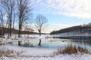 Yellowwood State Forest