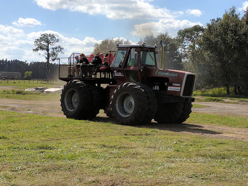 Ranch «Smith Family Ranch, LLC», reviews and photos, 13444 Moore Road, Lakeland, FL 33809, USA