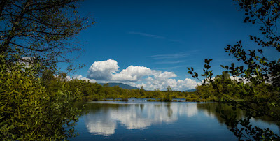 Etangs de Passins ENS à Arandon-Passins