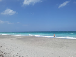 Foto av Jupiter Beach vildmarksområde