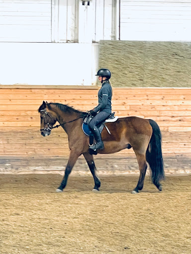 The Stockby Horse Riding School