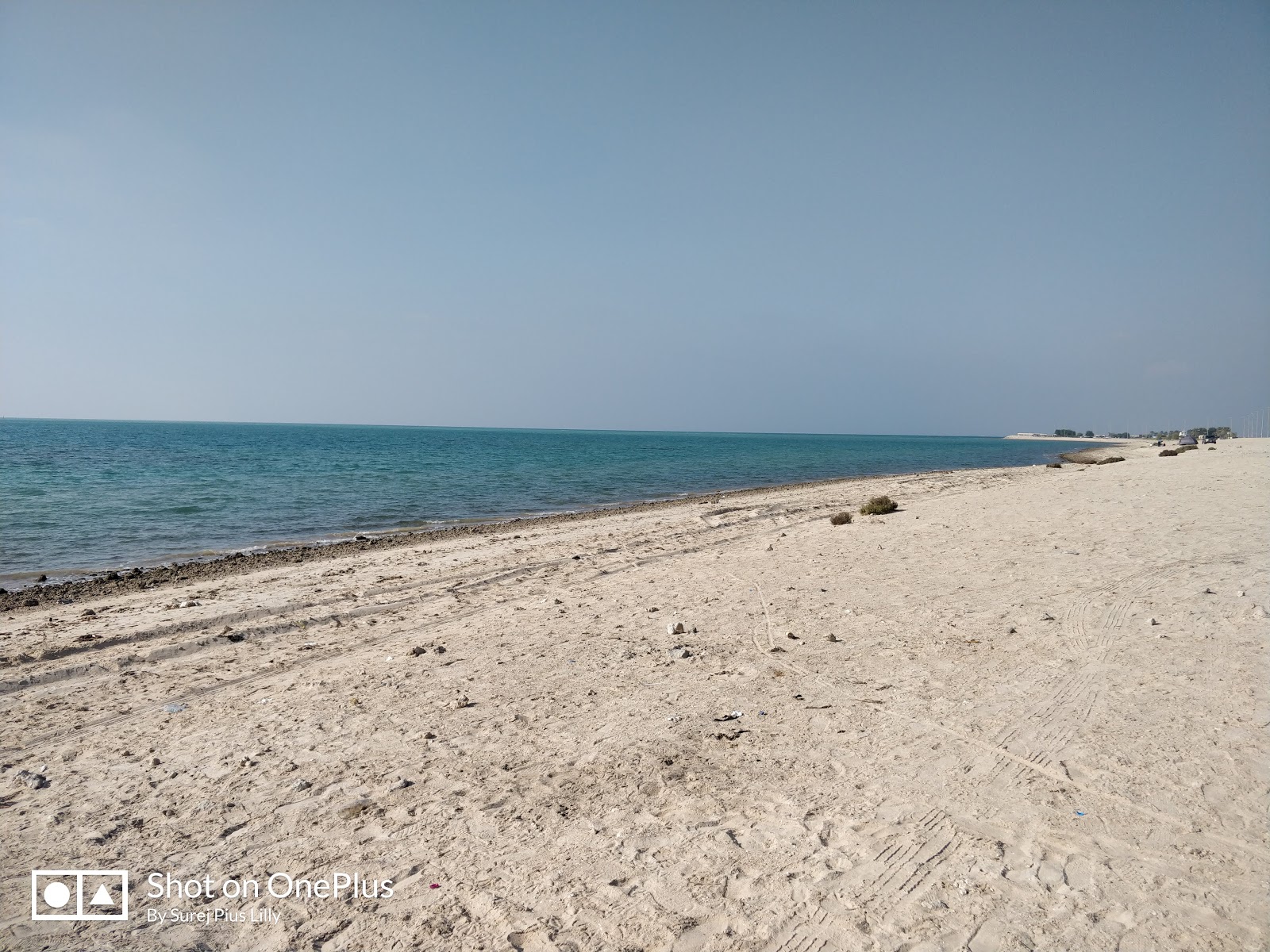 Photo de Sir Bani Yas beach avec un niveau de propreté de très propre