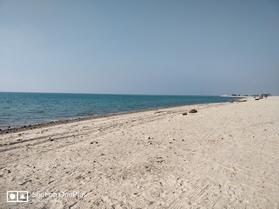 Sir Bani Yas beach