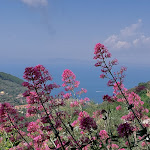 Photo n°11 de l'avis de Serena.o fait le 02/06/2022 à 07:49 sur le  Torre Ferano à Vico Equense