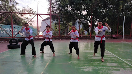 Beladiri semarang pencak silat