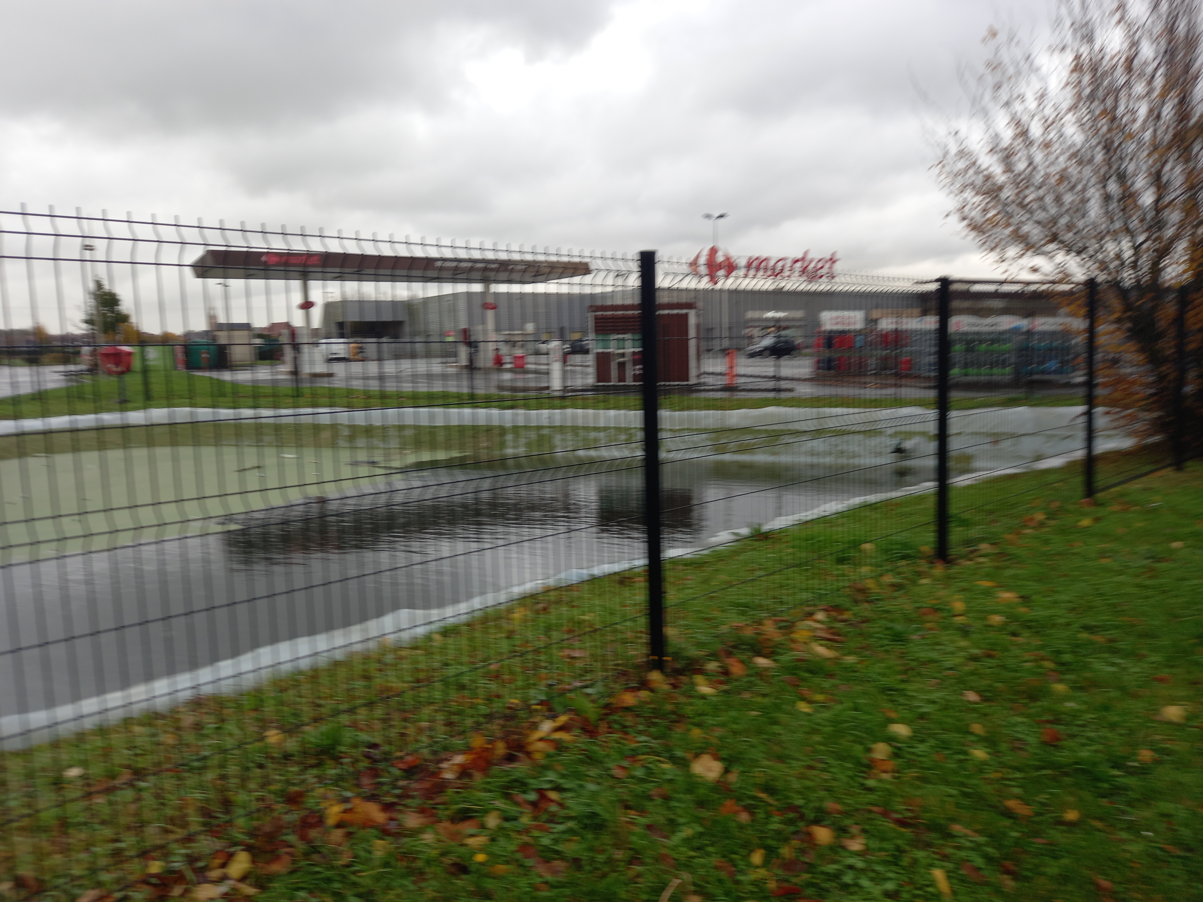Photo n° 37 de l'avis de Patrick.a fait le 21/11/2023 à 11:44
