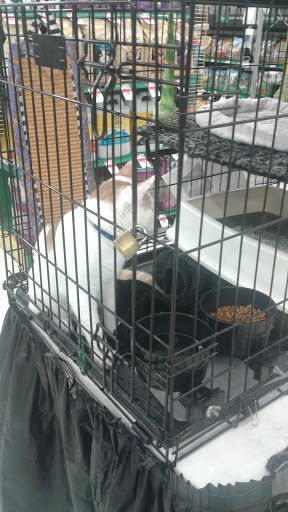 Pet Supply Store «Pet Supplies Plus», reviews and photos, 4923 Sheridan St, Hollywood, FL 33021, USA