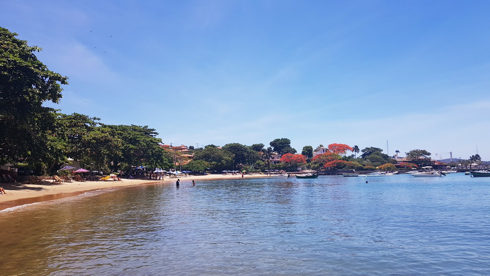 Praia dos Ossos photo #7