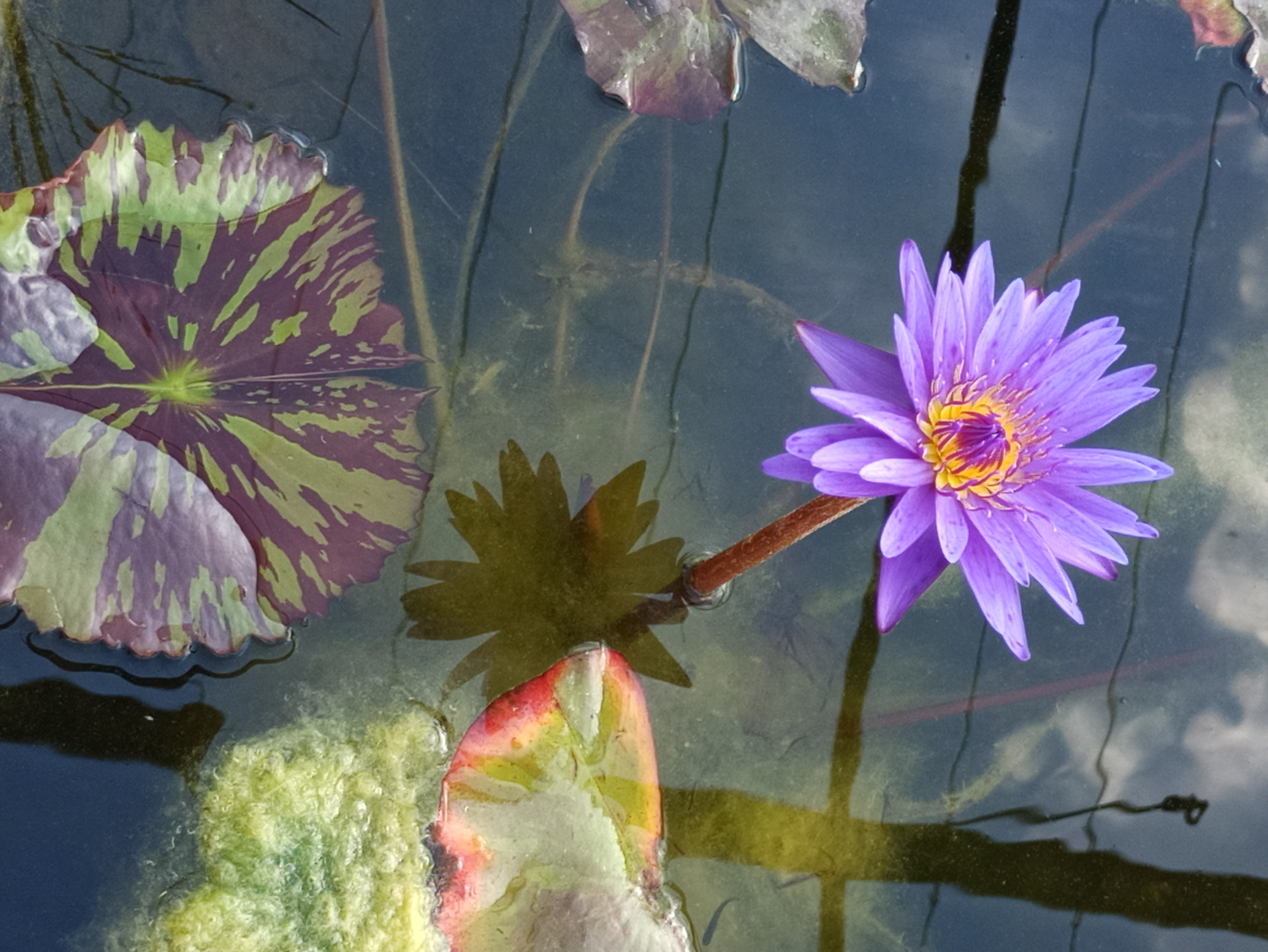 Photo n° 14 de l'avis de Dd.o fait le 22/09/2020 à 13:32