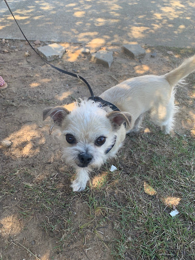 Insurance Agency «Dickerson Agency Inc», reviews and photos