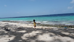 Kendhoo Office Beach'in fotoğrafı çok temiz temizlik seviyesi ile