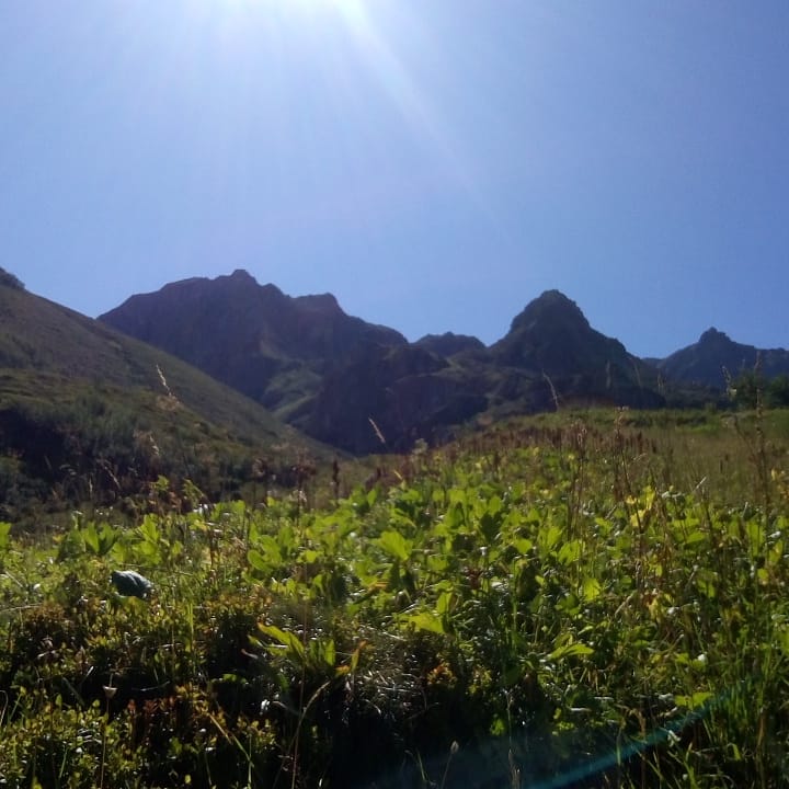 Photo n° 2 de l'avis de sylvain.y fait le 25/08/2019 à 18:30