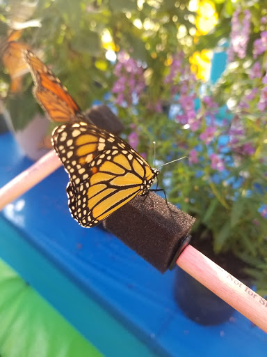 Fairground «Conservatory at the Sussex County Fairgrounds», reviews and photos, 37 Plains Rd, Augusta, NJ 07822, USA