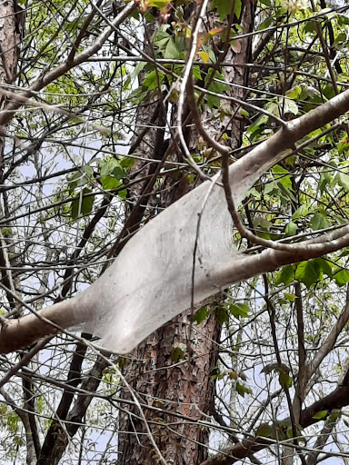 Park «Bouldercrest Park», reviews and photos, 4184 Bouldercrest Park Rd, Ellenwood, GA 30294, USA