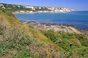 Folkestone East Cliff and Warren Country Park. image