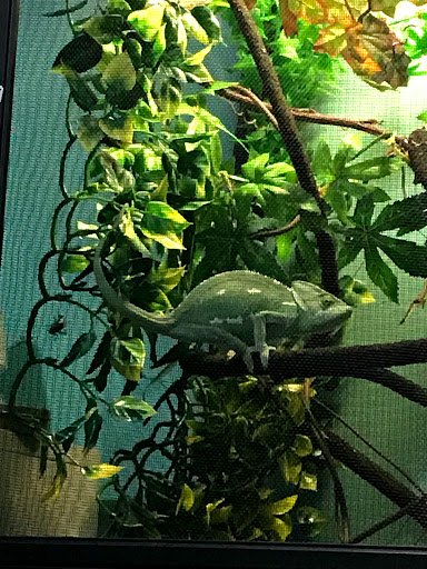 Pet Supply Store «Petco Animal Supplies», reviews and photos, 2250 Petrie Ln #518, Lanham, MD 20706, USA