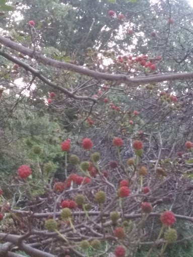 Park «Bronx River Park», reviews and photos, 2 Bronx River Pkwy, Scarsdale, NY 10583, USA