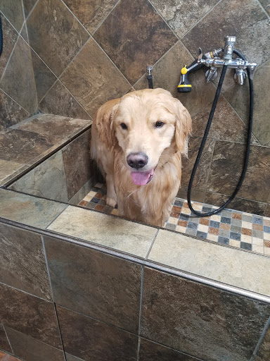 Pet Store «Pet Valu», reviews and photos, 2231 Old Bridge Rd, Lake Ridge, VA 22192, USA