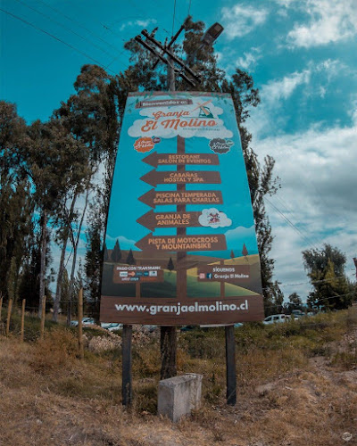 Granja El Molino - Melipilla
