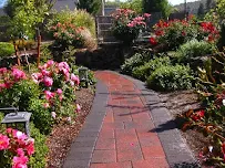 Carol's Colors - Car repair in , Medford - Rated 5.0/5