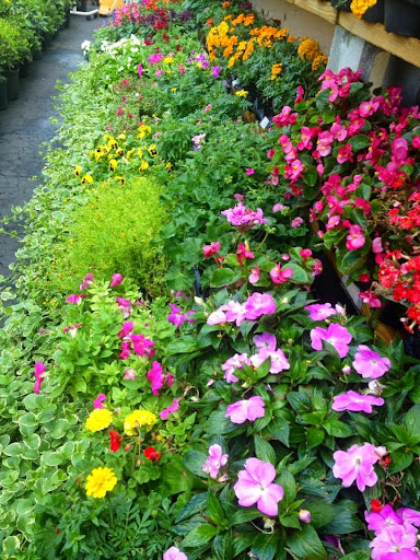 Hardware Store «USA Hardware», reviews and photos, 5481 W Irlo Bronson Memorial Hwy, Kissimmee, FL 34746, USA