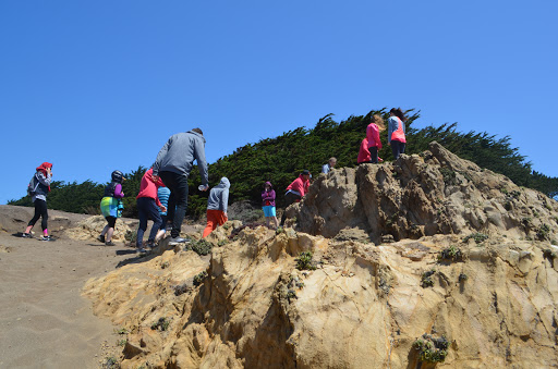 General Store «Ocean Cove General Store», reviews and photos, 23125 CA-1, Jenner, CA 95450, USA