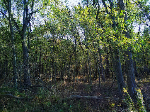 Nature Preserve «Jurgensen Woods Nature Preserve», reviews and photos, 183rd St, Lansing, IL 60438, USA