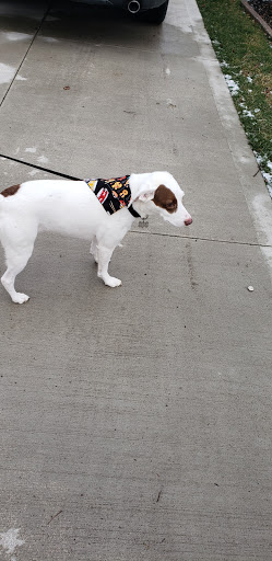 Aquarium Shop «Something Fishy Inc.», reviews and photos, 4764 State Rd, Cleveland, OH 44109, USA