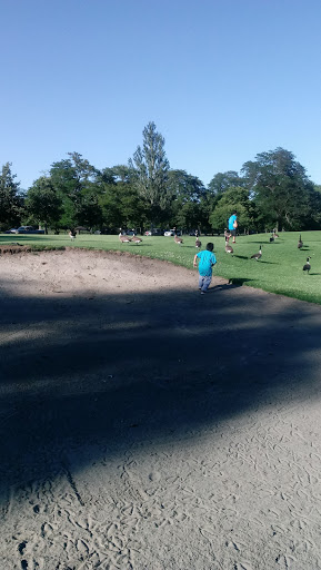 Golf Club «Marquette Park Golf Course», reviews and photos, 6700 S Kedzie Ave, Chicago, IL 60629, USA