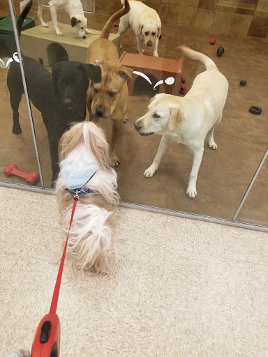 Pet Supply Store «PetSmart», reviews and photos, 114 Commerce Way, Woburn, MA 01801, USA