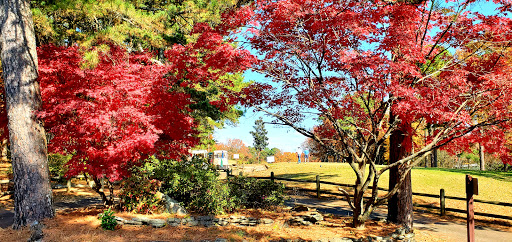 Golf Shop «Indian Hills Golf Course», reviews and photos, 331 Snead Dr, Fairfield Bay, AR 72088, USA