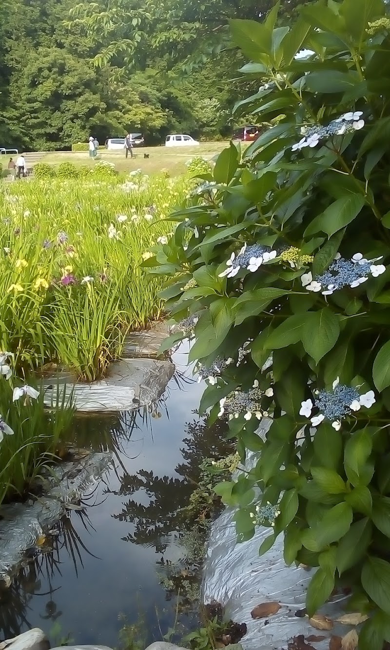 池田池公園 愛媛県新居浜市船木 公園 公園 グルコミ