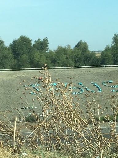 Produce Market «Yolo Fruit Stand», reviews and photos, 46710 Co Rd 32B, Davis, CA 95618, USA