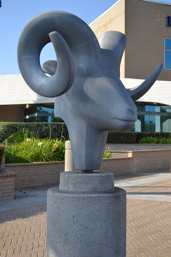 Bank «Bank of the West», reviews and photos