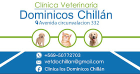 Clinica Veterinara Dominicos Chillan