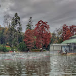Photo n°9 de l'avis de Emil.e fait le 09/12/2023 à 07:25 sur le  Villa Dei Cedri Spa Hotel à Colà