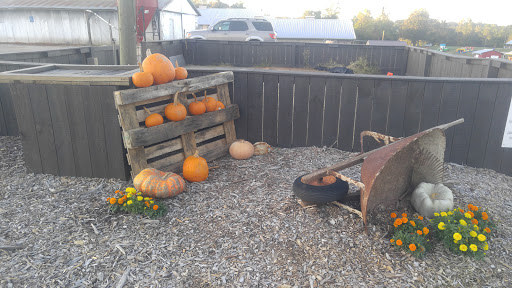 Farm «Warbington Farms (U-Pick Strawberries)», reviews and photos, 5555 Crow Rd, Cumming, GA 30041, USA