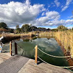 Photo n°5 de l'avis de Lutz.e fait le 14/10/2023 à 18:54 sur le  Seehotel Burg im Spreewald à Burg