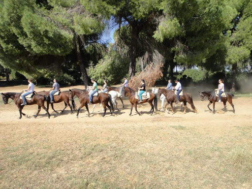 Equestrian Center Entrepinares