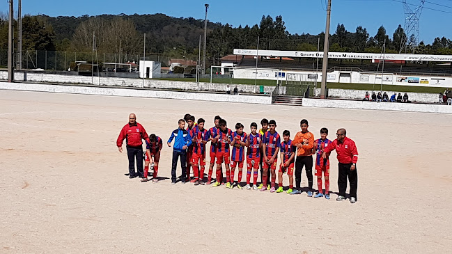 Avaliações doGrupo Desportivo Milheiroense em São João da Madeira - Associação