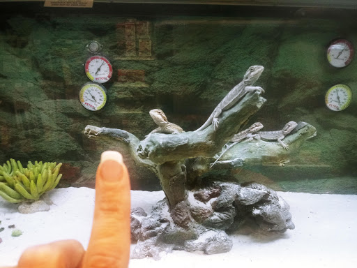 Pet Supply Store «Petco Animal Supplies», reviews and photos, 200 Edwards Blvd b, Lake Geneva, WI 53147, USA