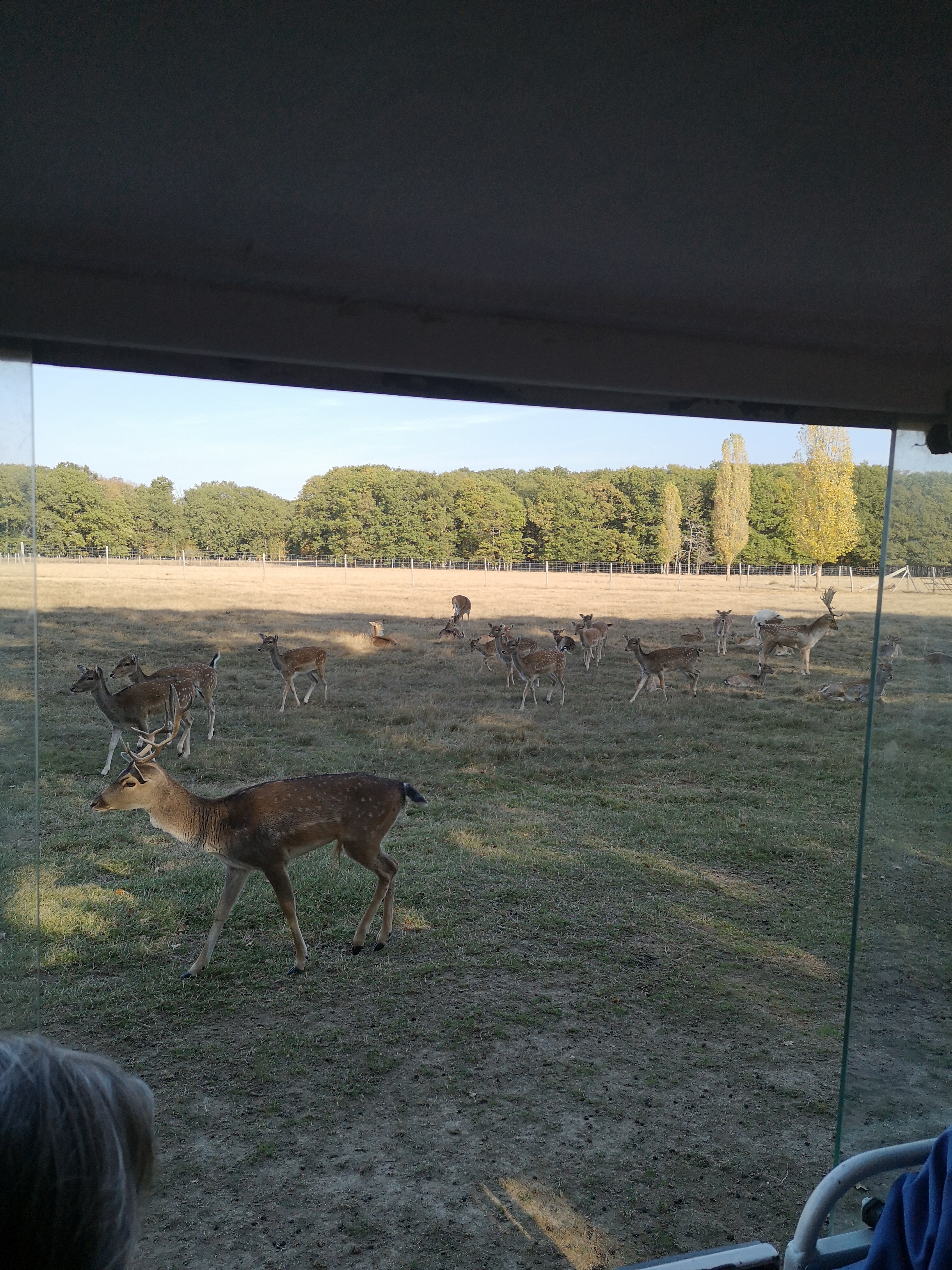Photo n° 5 de l'avis de Gonzague.a fait le 17/10/2018 à 16:20