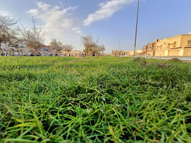 حديقة باقدو - مركز الحدائق